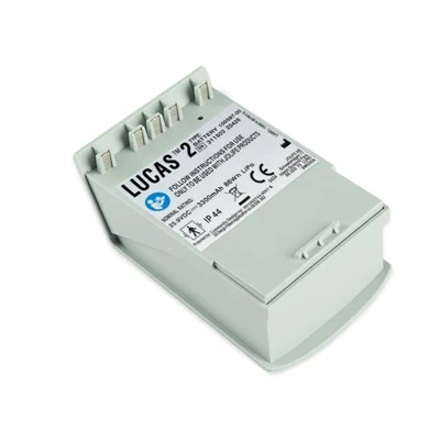 Pakaitinė „Lucas“ baterija 2 100597-00 25. 9v 3300mAh
